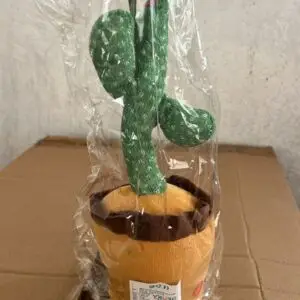 صبارة راقصة كيس