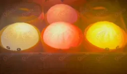 دامبلنج مضيء للأطفال، صغير الحجم، بألوان إضاءة متعددة، متعدد الألوان، لعمر 3 سنوات فأكثر - الصورة 4